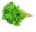 Dhaniya.webp