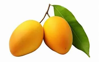 mangoe.webp