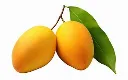 mangoe.webp