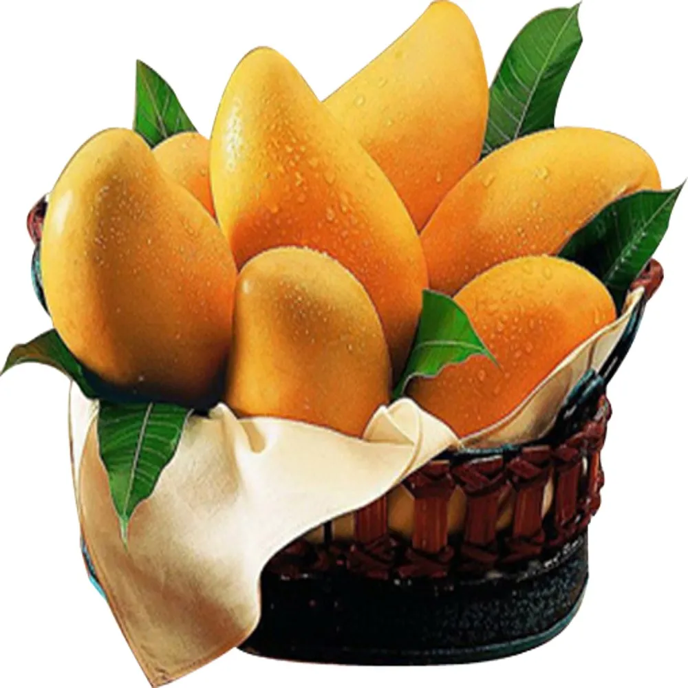 mango / aam