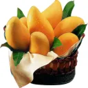 mango / aam