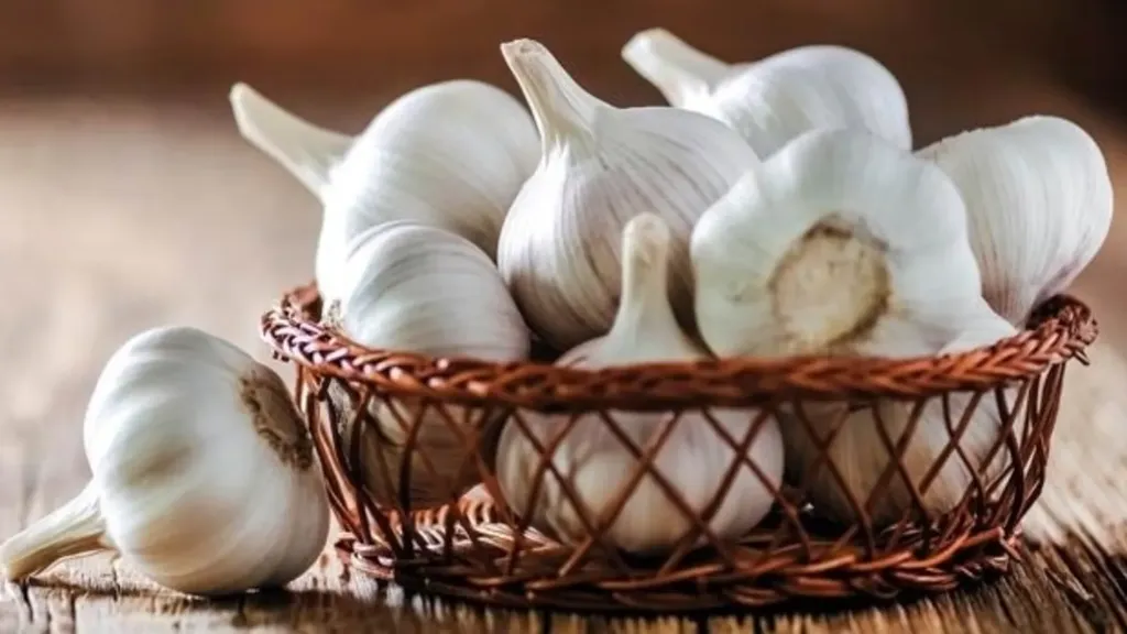Garlic
