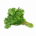 dhaniya / Coriander Leaves
