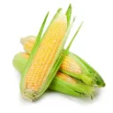 Desi corn / Desi Bhutte