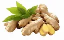 Ginger / adarak