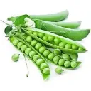 Matar / Green Peas